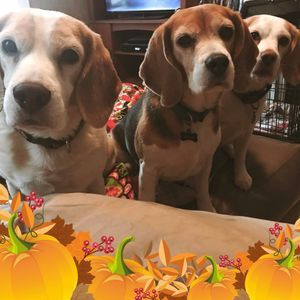 Meet your Posher, Julie